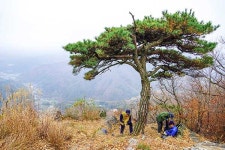 [지도 위를 걷다] 이순신 장군의 외가 있던 곳…오르기 편하지만 막판 깔딱