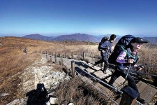 [코스 해부] 구글 어스로 본 영남알프스