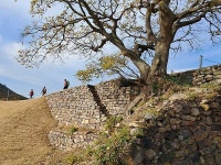 [전라도의 숨은 명산 진도 미르길] 맛과 멋과 흥이 어우러진 길