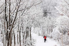 [허바허바 낙동정맥 종주] 낙동정맥 1박2일 28리터 배낭으로 충분했다