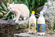 술 못마시는 사람 술꾼 만든 해창막걸리