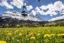 [워크 오브 페임 코스] 아이거 북벽을 즐기는 가장 쉬운 방법