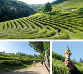 [초보기자의 초강수] 융단처럼 반짝인 푸르른 능선