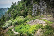 [낯선 지리산 치밭목~법천계곡] 지리를 지리답게 볼 수 있는 길