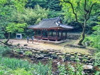 [전라도의 숨은 명산 천봉산] 보성 녹차의 발상지…대원사가 터줏대감