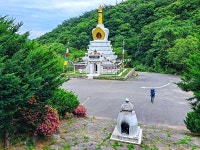 [전라도의 숨은 명산 천봉산] 보성 녹차의 발상지…대원사가 터줏대감