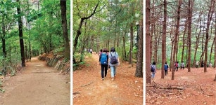 [맨발걷기 효과] 혈액 순환 개선…다이어트 · 수면 질 높이는 효과도