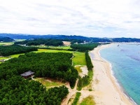 맨발걷기 끝판왕 슈퍼 어싱 울진의 명품 해안에서 체험해요 [대한민국의 숨, 울진]