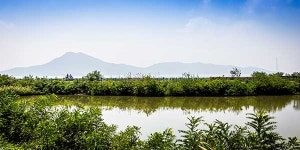 서울에서 한 시간, 평화와 풍요를 찾다 [힐링로드 인천 교동도  강화나들길 9코스]