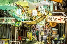 서울에서 한 시간, 평화와 풍요를 찾다 [힐링로드 인천 교동도  강화나들길 9코스]