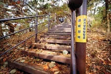 안성에 명품 산길 66km 열렸다 [안성 금북정맥 국가생태문화탐방로 특집]