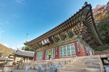 합쳐 3,500살 고찰, 100년 끓인 설렁탕 제2의 경주안성을 즐기다 [안성 금북정맥 국가생태문화탐방로 특집]