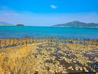 남해 바래길 256km를 1주일간 걷다 [남난희의 느린 산 남해 바래길]