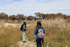 진안 고원의 산들이  겨울이 온다고 일렀다 [지도 위를 걷다  진안 덕태산·천상데미]