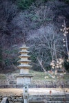 849km 동서트레일 새해 첫 구간을 걷다 [미리 가보는 동서트레일]