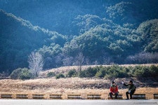 동해선 타고 만난다 동서트레일의 동쪽 끝 [미리 가보는 동서트레일 울진 55구간 르포]