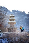 1,000년 된 새 길 그도 이 길을 걸었을까 [겨울 월출산 특집]
