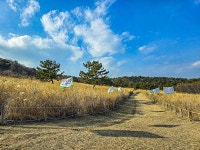 코스 두 개로 부산의 산&바다 끝내는 법 [지도 위를 걷다 해운대 장산&해파랑길]