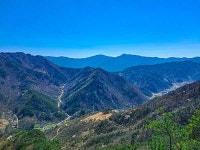 인간이 저지른 산불…산아, 미안하다 [남난희의 느린 산 오산 들꽃]