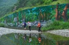 기차 타고 가는 울진여행…신선계곡 수달가족 만나요 [울진특집]