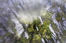 가이드가 물었다 이 힘든 델 왜 또 왔어요? [말레이시아 물루 피너클]