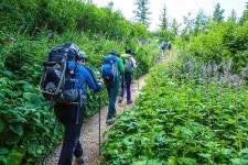 마음을 내려놓으면 야생화가 말을 건다 [알프스 365 TMB 변형루트]