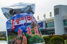 조선족 땅 연변에 중국어 간판이 더 많아졌다 [창간기념 백두산 특집]