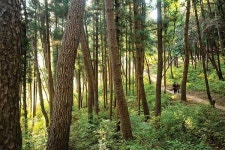 국립공원 되면 못 볼 금정산의 숨은 파노라마 [금정산 화보]