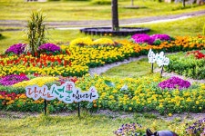 월간산 추천, 8월에 걷기 좋은 길 4선