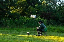 자연의 생명력 담는 소리 사냥꾼 [소리 채집]