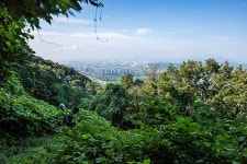 영화 봄날은 간다처럼…소리를 사냥하다 [소리 채집 울산 동대산 르포]