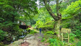 구름도 쉬어가는 낙동정맥 능선길 [경상도의 숨은 명산 운주산]