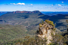 산불로 8,000마리 폐사…멸종위기 코알라가 사는 곳 [호주 블루마운틴국립공원]