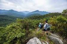 산에서 3일동안 살아봤다 [산에서 2박 3일]