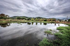 취사 가능한 트레일 생겼다, 백패킹 밥상이 풍성해졌다 [동서트레일이 열렸다 (1) 4구간 르포]