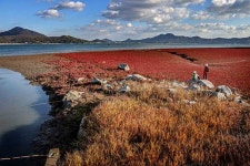 떠나보내고 다시 채우러 걷는 길 [석모도 휴休레킹 상주해안길]