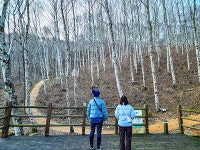 데크 없는 날것 그대로 산길 [지도 위를 걷다 흰대미산‧단지봉]