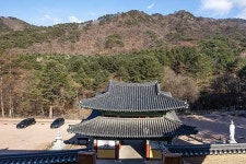 원주 가장 높은 곳에 봄 들다 [초보기자의 거침없이 하이킹]