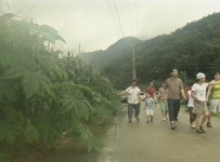 농촌에서 휴가 보내요 팜스테이 인기