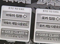 인터넷 도박사이트 운영업체 또 적발