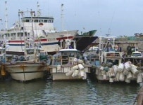 공동어로구역 연평도 어민들, 기대반 우려반