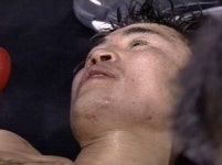 복싱 인기 살리겠다더니…일어나라 챔프여