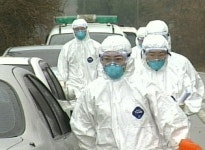 되살아난 AI 바이러스의 공포…양계업계 긴장