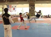 제2의 태권도 중흥기 열자…태권도 축제 개막