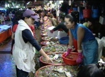 [수도권] 꽃게·새우가 한창! 소래포구로 오세요