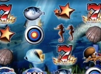 인터넷 타고 안방으로…바다이야기 다시 기승