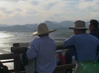 [이슈] 세계5대 습지, 순천만으로 떠나는 여행