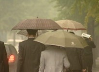 내일까지 전국에 단비…전남 완도 호우주의보