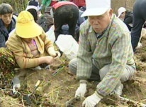 [수도권] 수확의 기쁨 함께하는 장애인체험행사