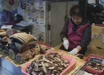 바다향기 넘치는, 동해안 최대 포항 죽도시장